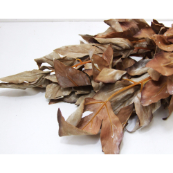 Liść dekoracyjny Gałązka Brudny Róż 65cm